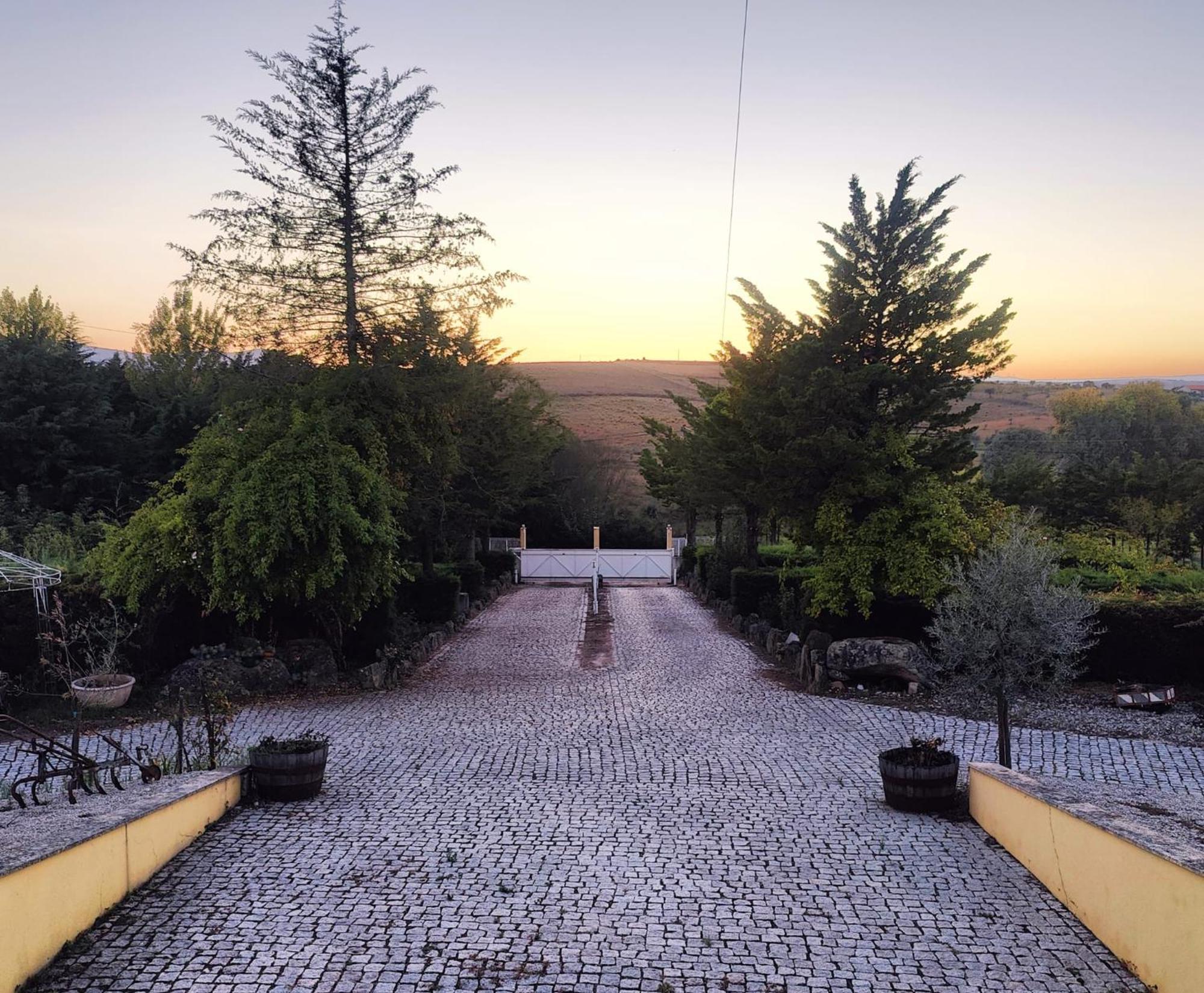 Quinta Da Libelinha Alojamento Local - Mirandela Exterior foto